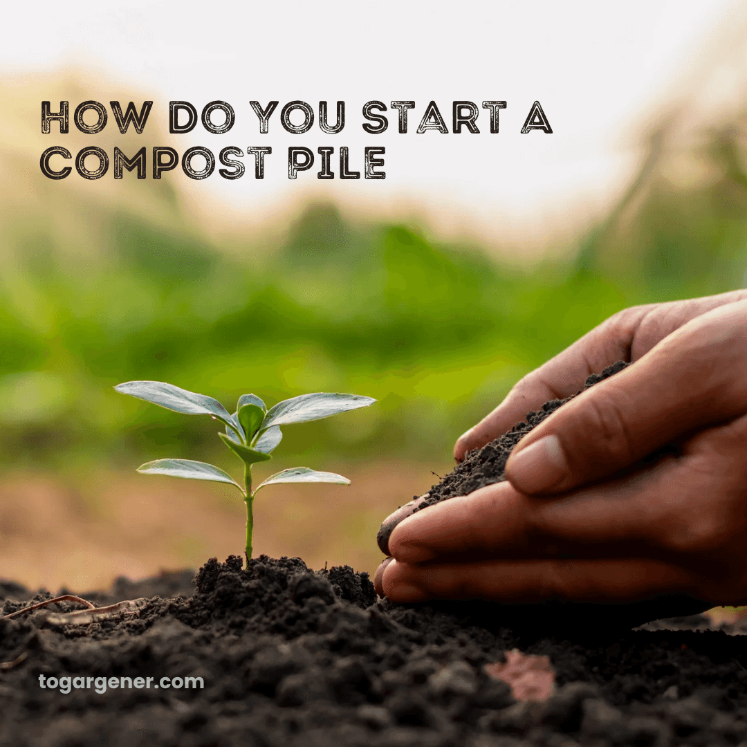 Complete Guide to Starting a Compost Pile