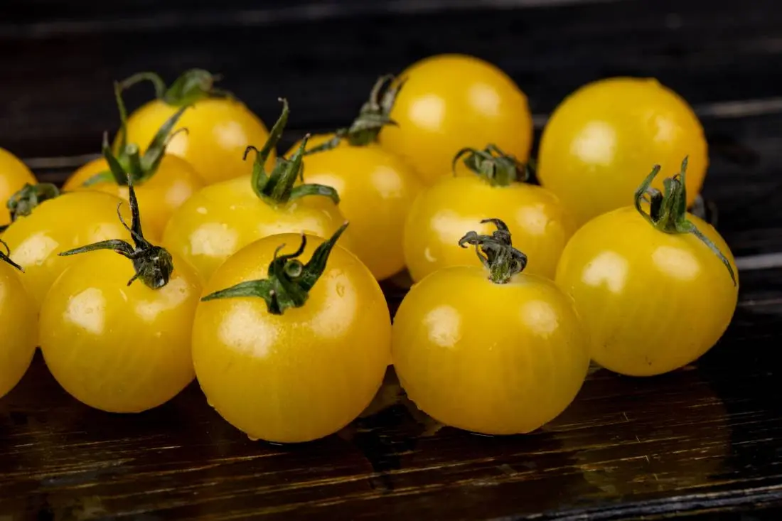 Patio Choice Yellow Cherry Tomato Variety