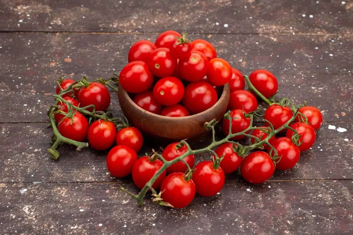 Patio Choice Red Cherry Tomato Variety 